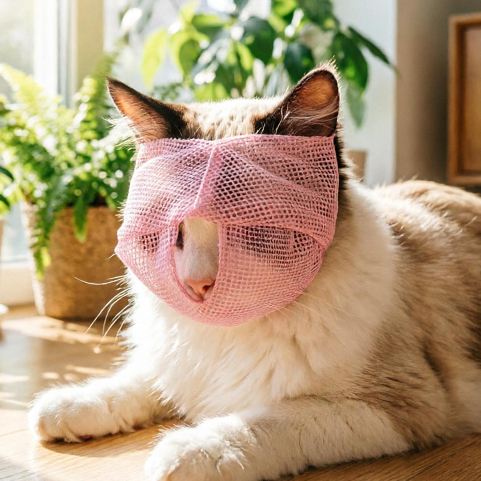 Pet Supplies Vet - Muselière pour chat en maille respirante