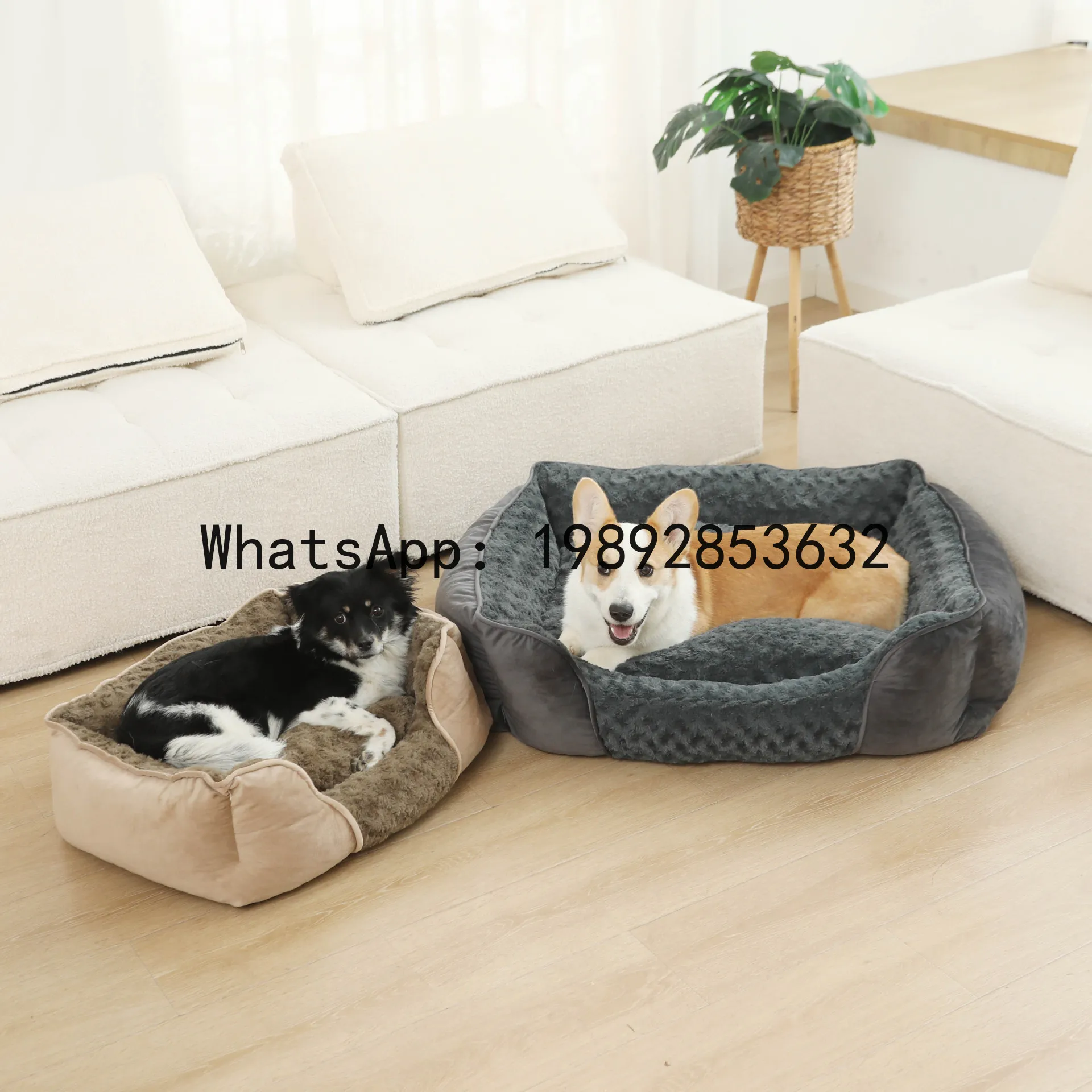 Pet X Supplies & Tack Howell Mi - X niche pour chat, chenil semi-fermé