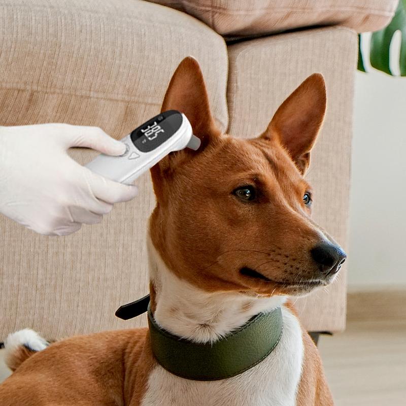 Pet Supplies Vet - Thermomètres pour animaux de compagnie pour