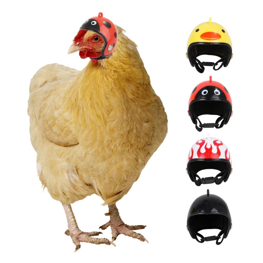 Pet X Supplies & Tack Howell Mi - Accessoires pour animaux de compagnie ABS