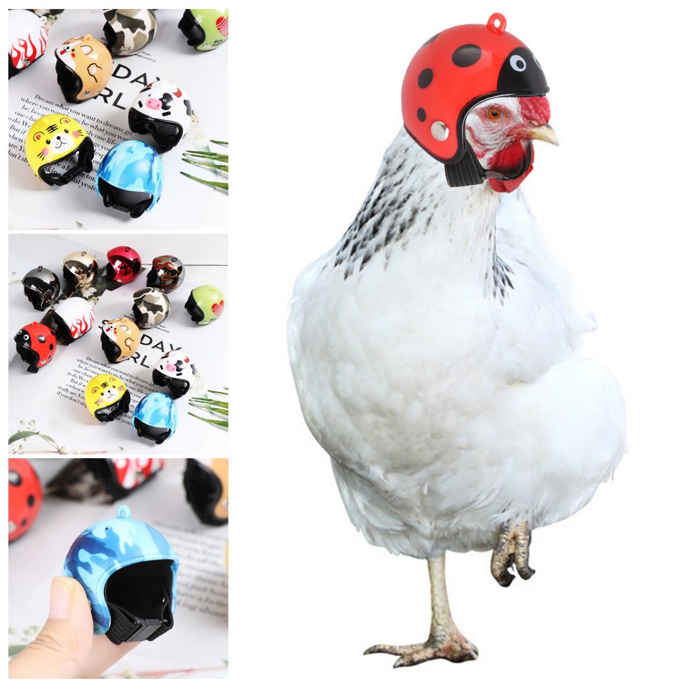 Pet X Supplies & Tack Howell Mi - Casque de protection amusant pour animaux
