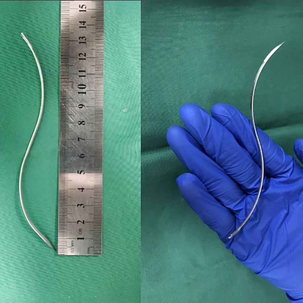 Aiguille de suture en S pour a - Pet Supplies Vet avis et prix