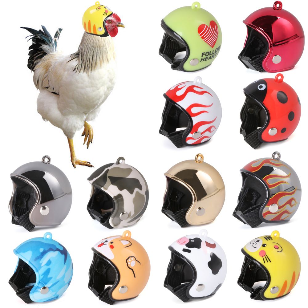 Accessoires pour animaux de co - Pet X Supplies & Tack Howell Mi avis et prix